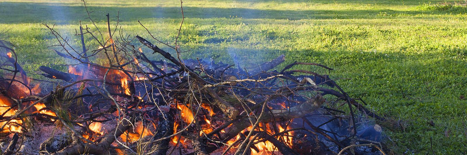 pile of brush being burned