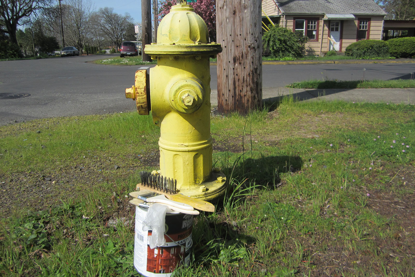 freshly-painted-fire-hydrant_web_1600x1067_color