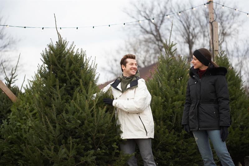 Couple Picking a Christmas Tree
