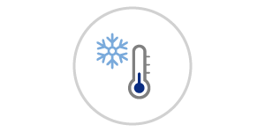 icon Thermometer