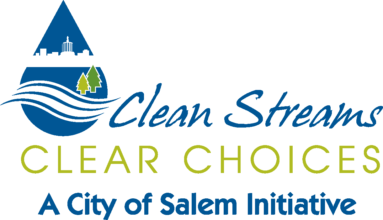 Clean Streams Logo