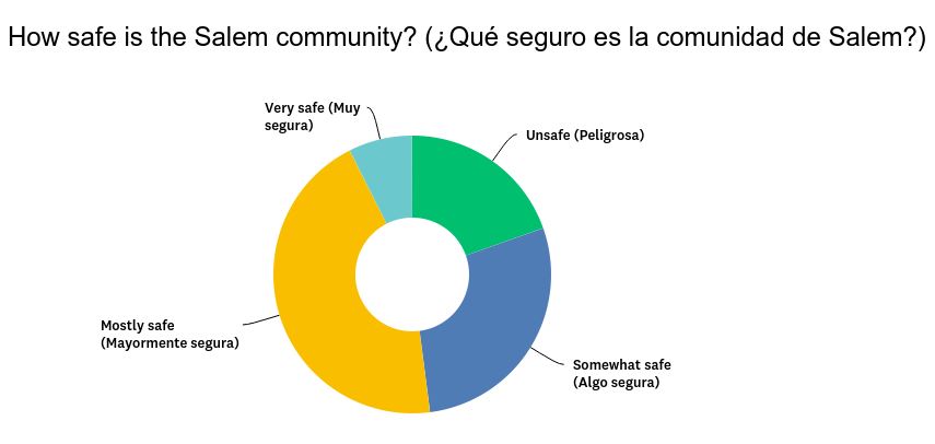 Pie graph of results to question How safe is the Salem community. Result details in text.