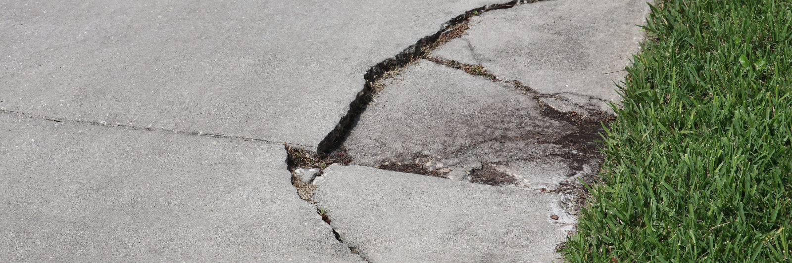 cracked-sidewalk-1600x533