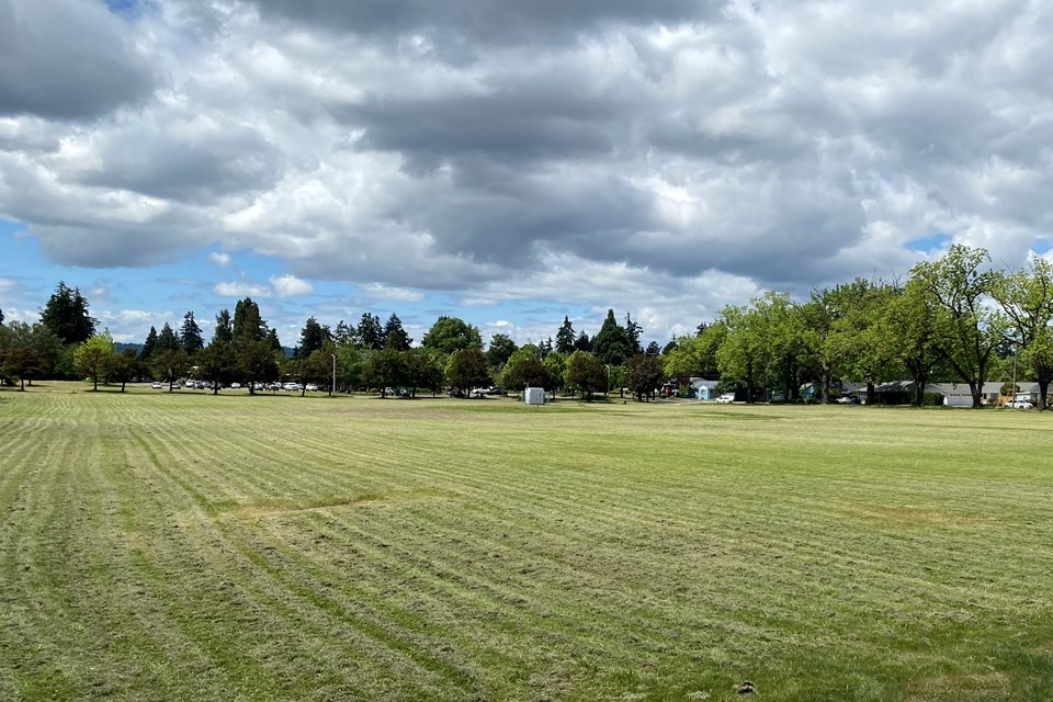 Photograph of open grass field