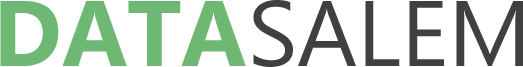 DataSalem Logo Image