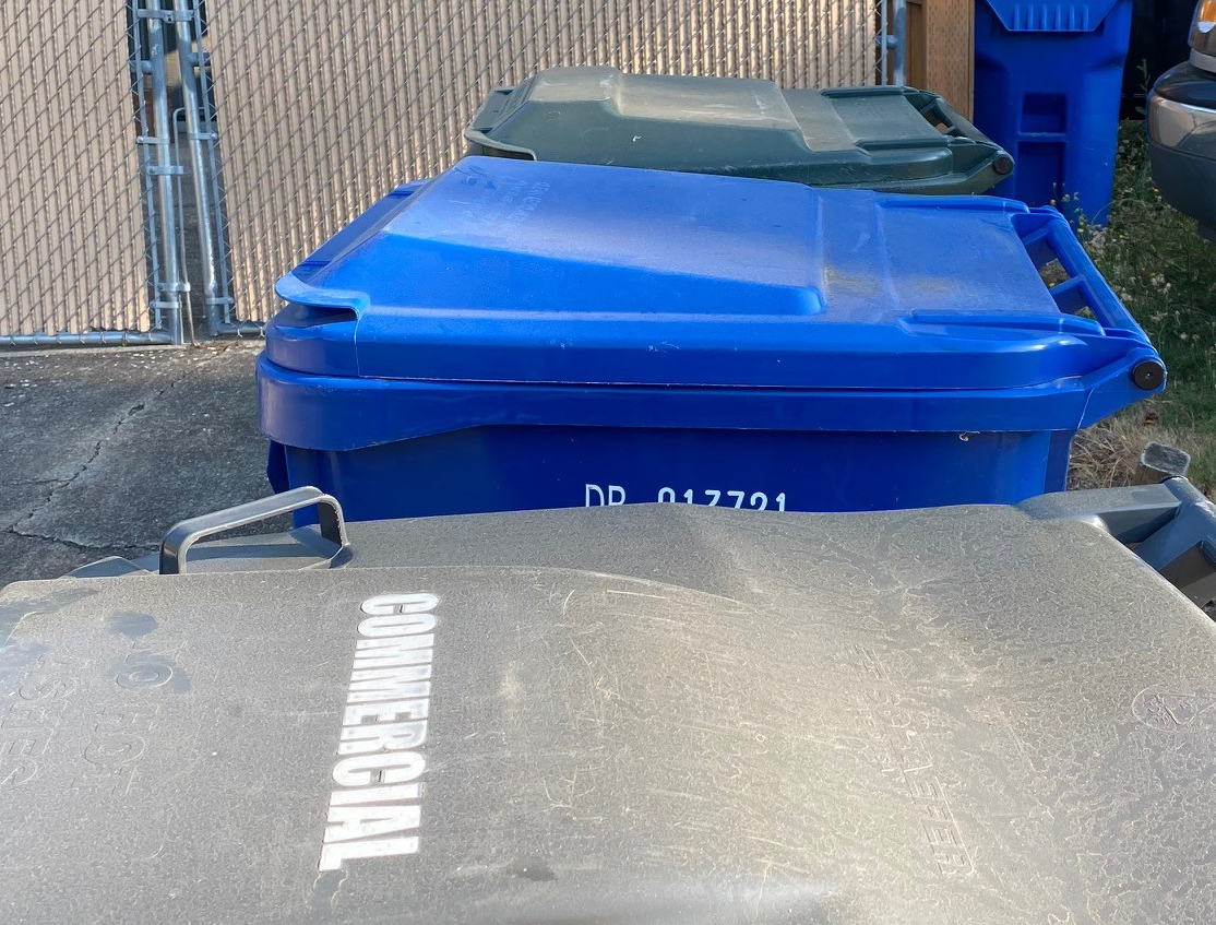 Salem waste, recycling and compost bins await collection.