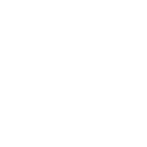 Basketball-Icon-300x300