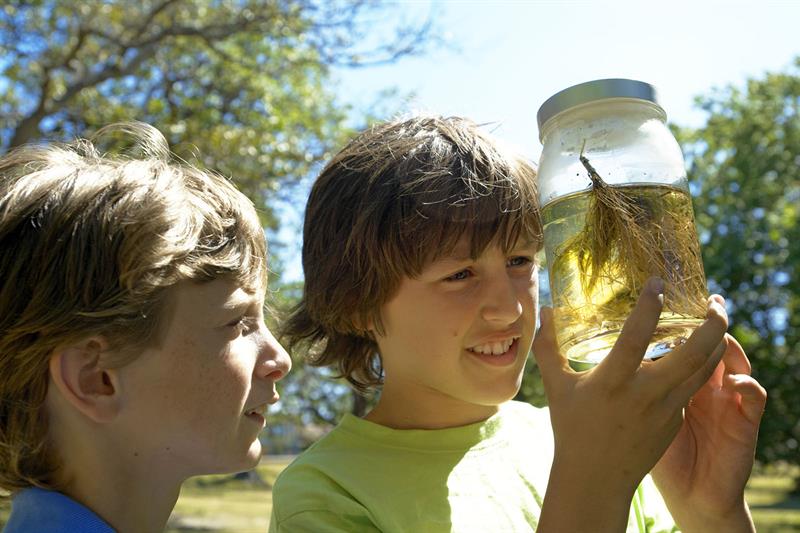 Two Boys Inspect a Jar of Pond Water