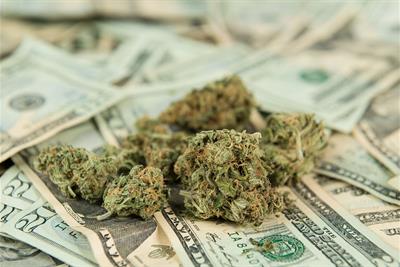 marijuana lying on twenty dollar bills