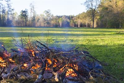 pile of branches and brush being burned in a green field