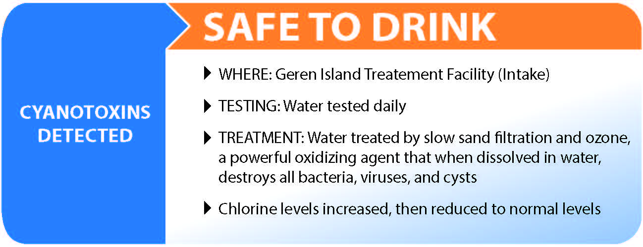 Cyanotoxins Detected-safe to drink Graphic