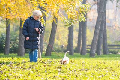 old woman walking dog in autumn park tall grass