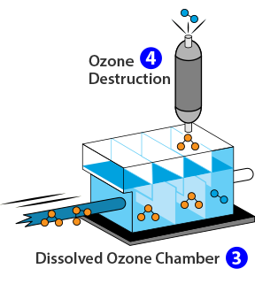 Ozone Chamber Steps 3 and 4